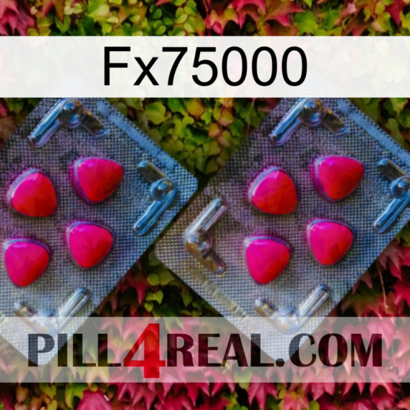 Fx75000 14